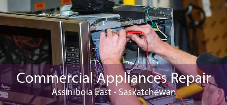 Commercial Appliances Repair Assiniboia East - Saskatchewan