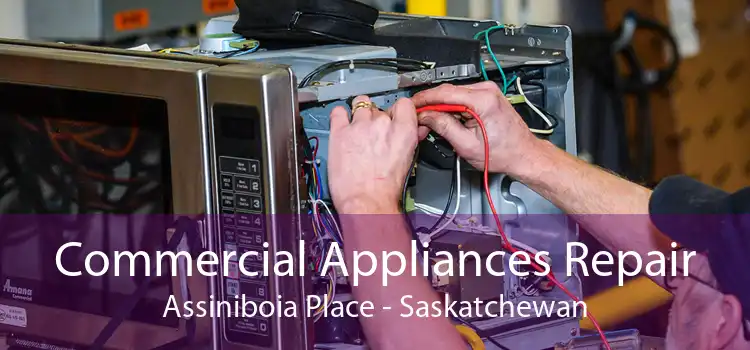 Commercial Appliances Repair Assiniboia Place - Saskatchewan