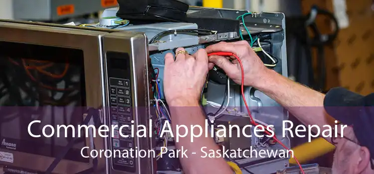 Commercial Appliances Repair Coronation Park - Saskatchewan