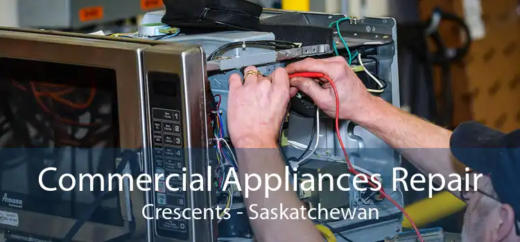 Commercial Appliances Repair Crescents - Saskatchewan