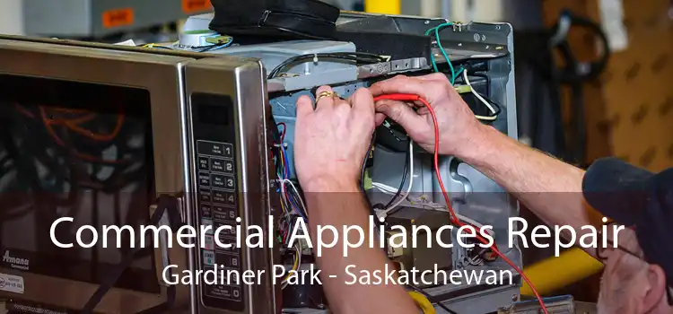 Commercial Appliances Repair Gardiner Park - Saskatchewan