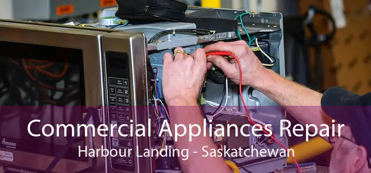 Commercial Appliances Repair Harbour Landing - Saskatchewan