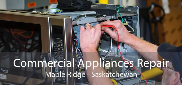 Commercial Appliances Repair Maple Ridge - Saskatchewan