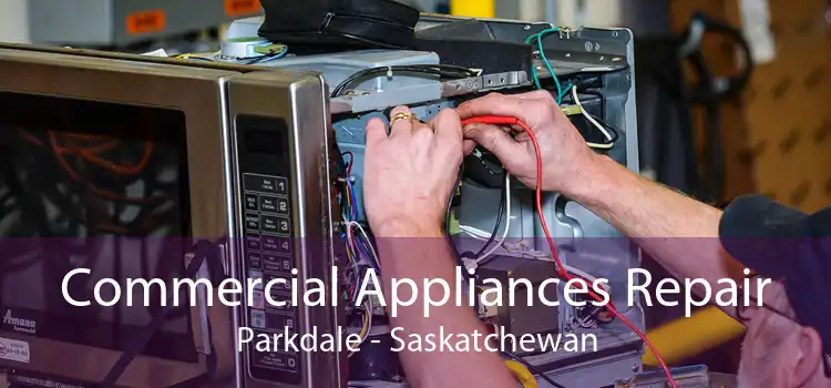 Commercial Appliances Repair Parkdale - Saskatchewan