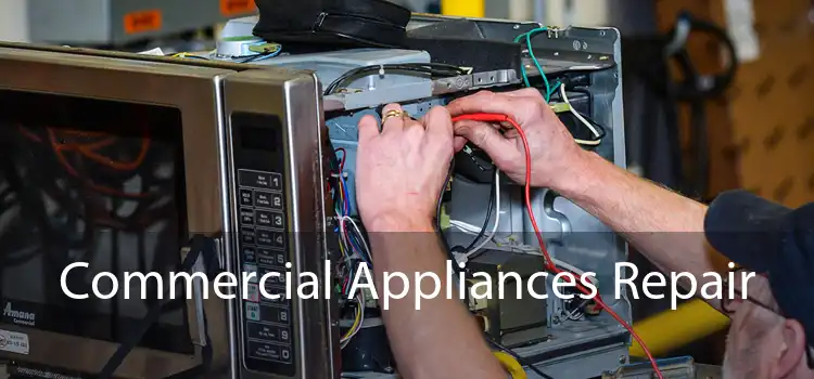 Commercial Appliances Repair 