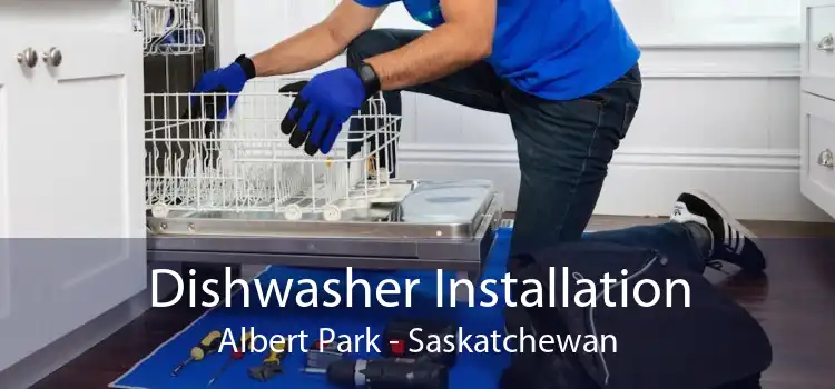 Dishwasher Installation Albert Park - Saskatchewan