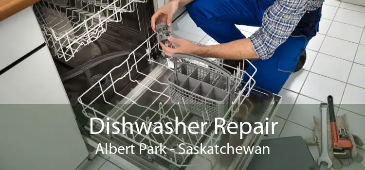 Dishwasher Repair Albert Park - Saskatchewan