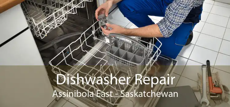 Dishwasher Repair Assiniboia East - Saskatchewan