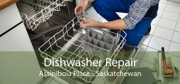 Dishwasher Repair Assiniboia Place - Saskatchewan