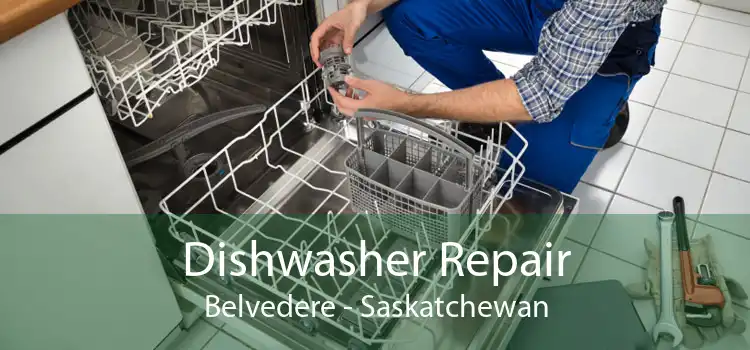 Dishwasher Repair Belvedere - Saskatchewan