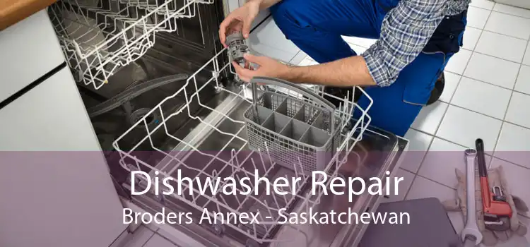 Dishwasher Repair Broders Annex - Saskatchewan