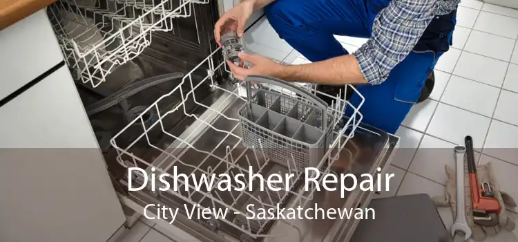 Dishwasher Repair City View - Saskatchewan