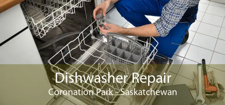 Dishwasher Repair Coronation Park - Saskatchewan