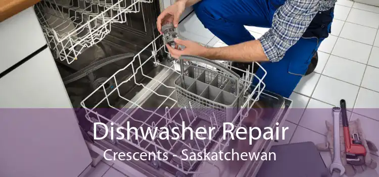 Dishwasher Repair Crescents - Saskatchewan