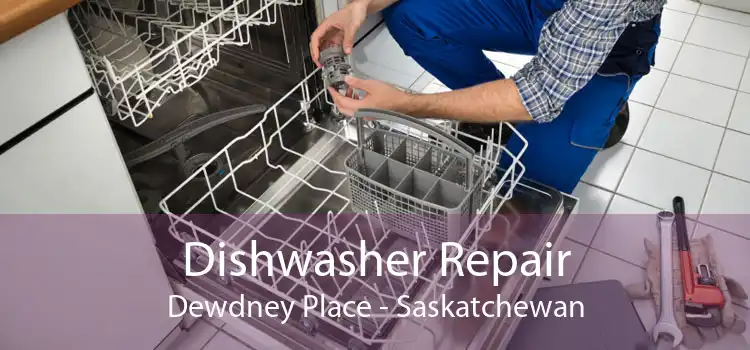 Dishwasher Repair Dewdney Place - Saskatchewan