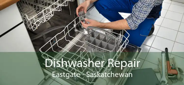 Dishwasher Repair Eastgate - Saskatchewan