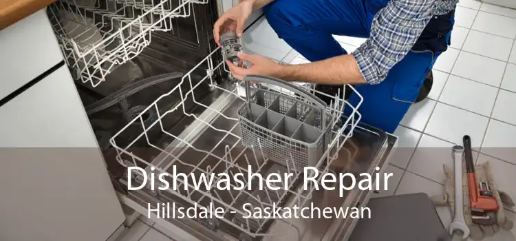 Dishwasher Repair Hillsdale - Saskatchewan