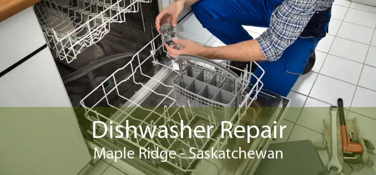 Dishwasher Repair Maple Ridge - Saskatchewan