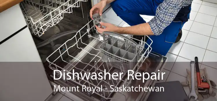 Dishwasher Repair Mount Royal - Saskatchewan