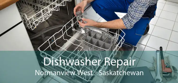 Dishwasher Repair Normanview West - Saskatchewan