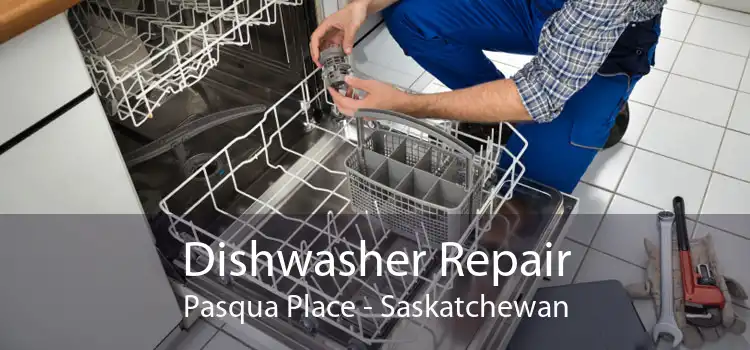 Dishwasher Repair Pasqua Place - Saskatchewan