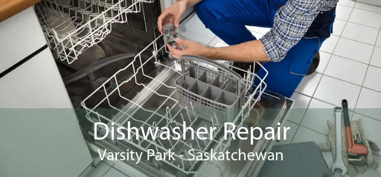 Dishwasher Repair Varsity Park - Saskatchewan