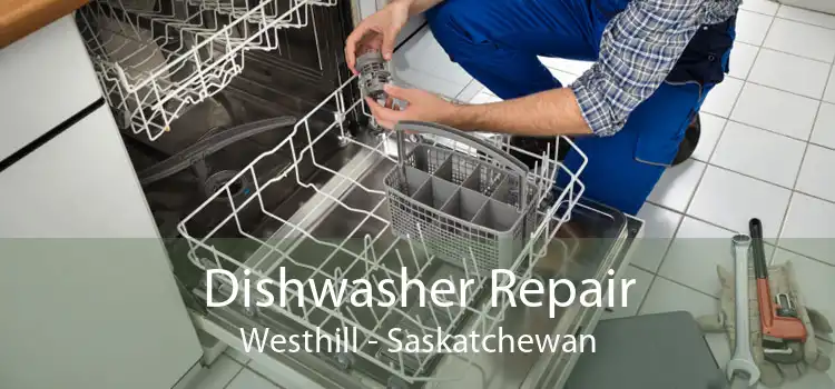 Dishwasher Repair Westhill - Saskatchewan