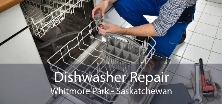 Dishwasher Repair Whitmore Park - Saskatchewan