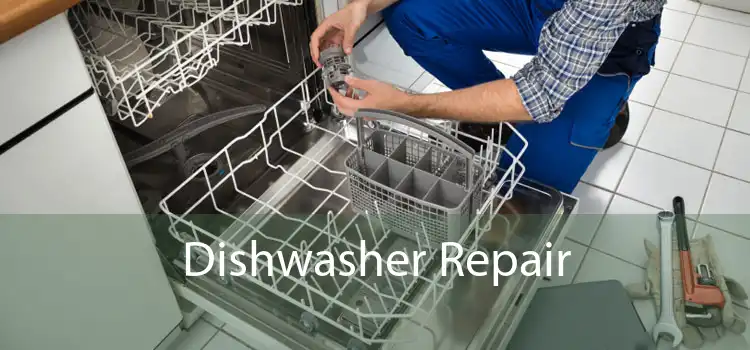 Dishwasher Repair 