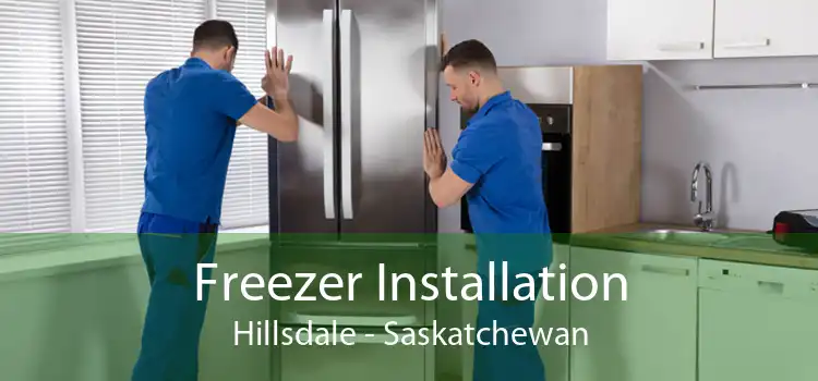 Freezer Installation Hillsdale - Saskatchewan