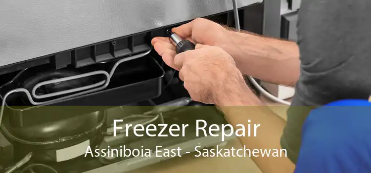 Freezer Repair Assiniboia East - Saskatchewan