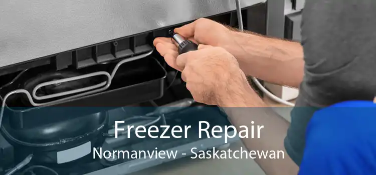 Freezer Repair Normanview - Saskatchewan