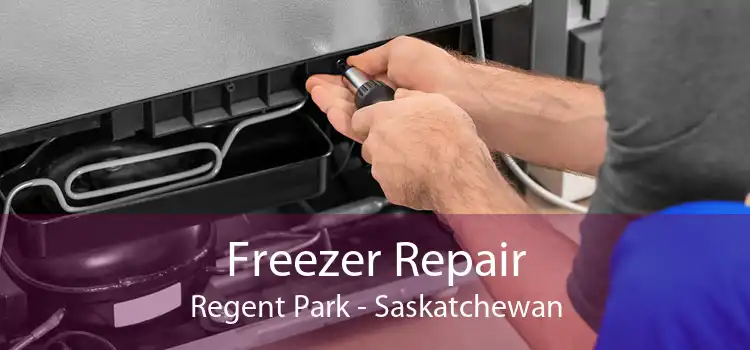 Freezer Repair Regent Park - Saskatchewan