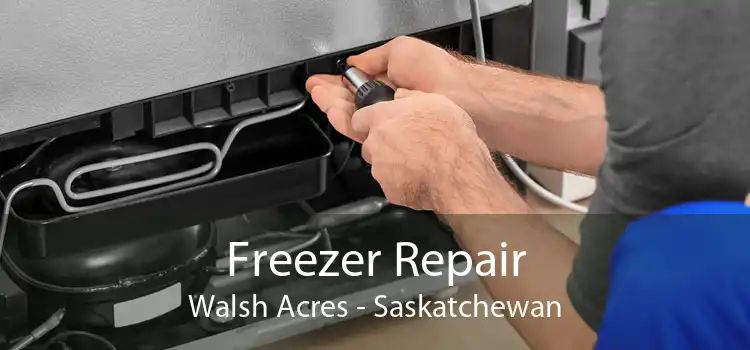 Freezer Repair Walsh Acres - Saskatchewan