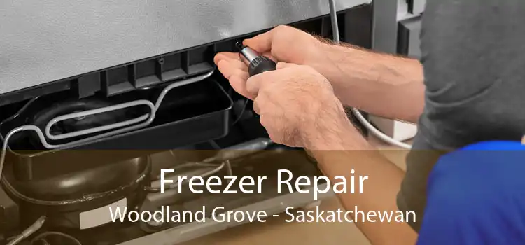 Freezer Repair Woodland Grove - Saskatchewan