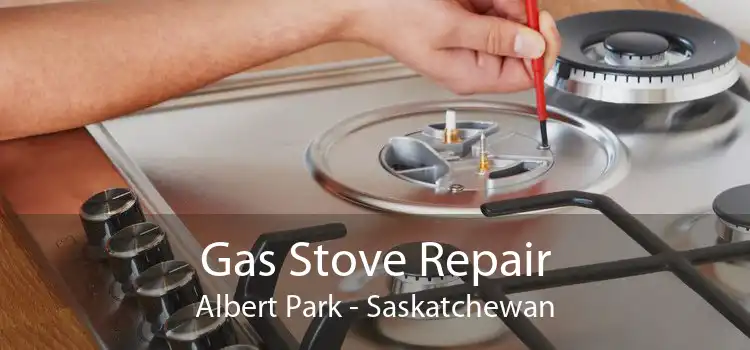 Gas Stove Repair Albert Park - Saskatchewan