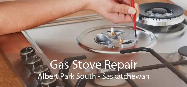 Gas Stove Repair Albert Park South - Saskatchewan