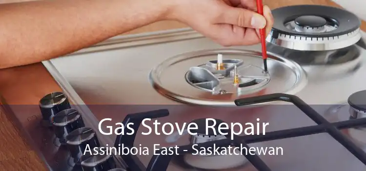 Gas Stove Repair Assiniboia East - Saskatchewan