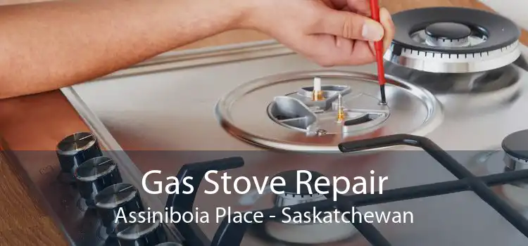 Gas Stove Repair Assiniboia Place - Saskatchewan