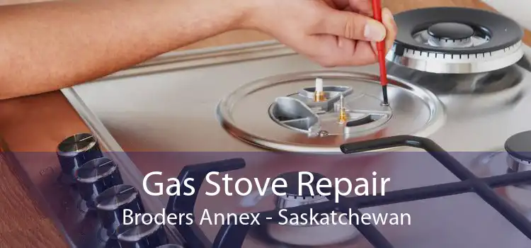 Gas Stove Repair Broders Annex - Saskatchewan