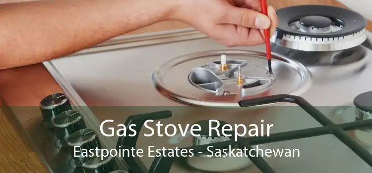 Gas Stove Repair Eastpointe Estates - Saskatchewan