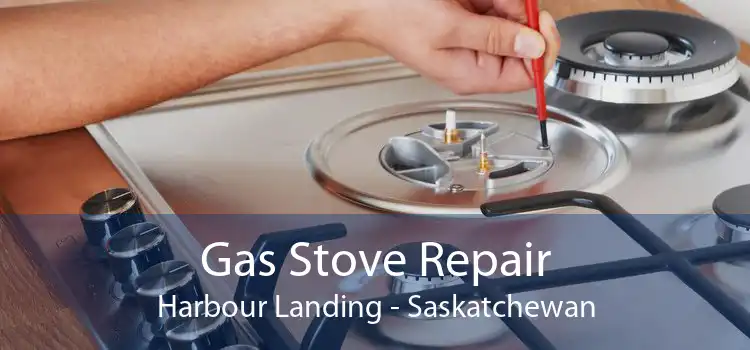 Gas Stove Repair Harbour Landing - Saskatchewan