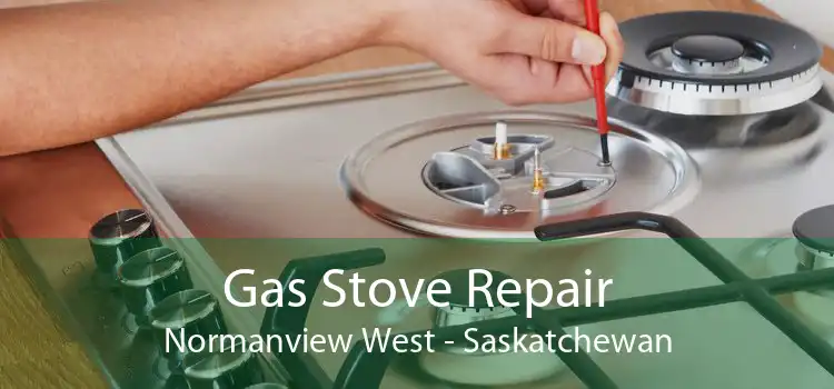 Gas Stove Repair Normanview West - Saskatchewan