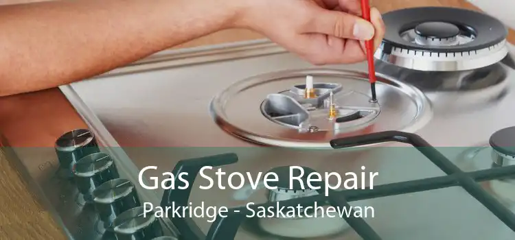 Gas Stove Repair Parkridge - Saskatchewan