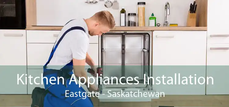 Kitchen Appliances Installation Eastgate - Saskatchewan