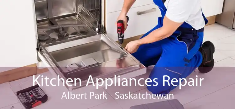 Kitchen Appliances Repair Albert Park - Saskatchewan