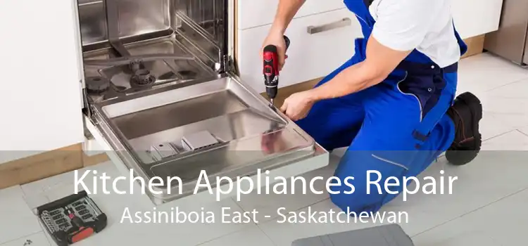 Kitchen Appliances Repair Assiniboia East - Saskatchewan