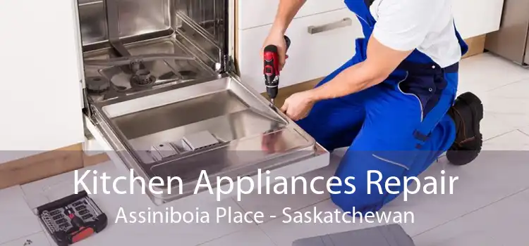 Kitchen Appliances Repair Assiniboia Place - Saskatchewan