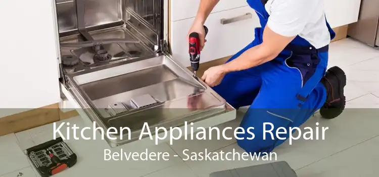 Kitchen Appliances Repair Belvedere - Saskatchewan