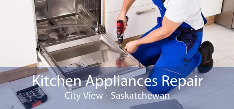 Kitchen Appliances Repair City View - Saskatchewan